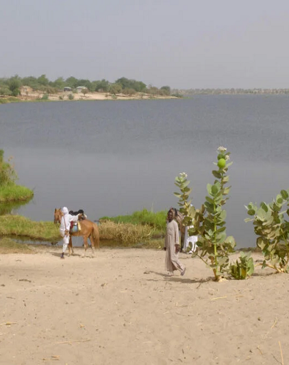 Lac Tchad
