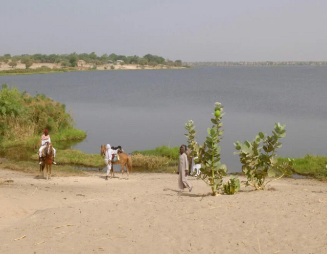 Lac Tchad